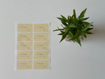 Label stickers sheet with 10 matte-finish yellow labels – rounded rectangle design for personalizing notebooks and folders.