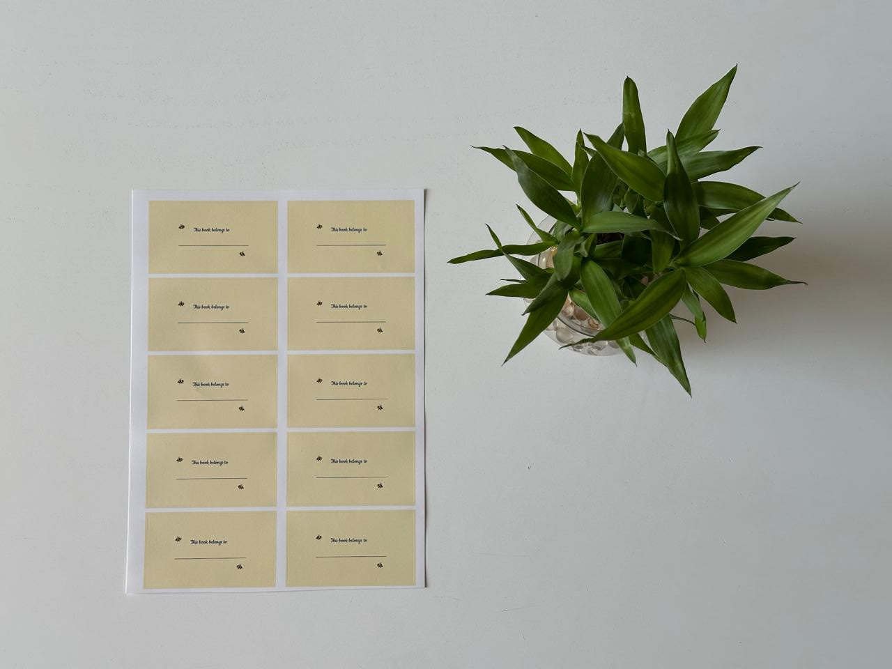 Label stickers sheet with 10 matte-finish yellow labels – rounded rectangle design for personalizing notebooks and folders.